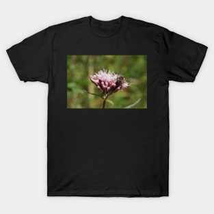 Bee Visits Water Hemp Flower T-Shirt